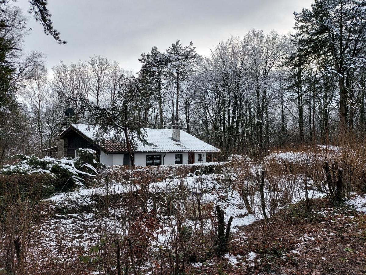 Chalet Des Pins D'Autriche Comblain-Fairon 외부 사진