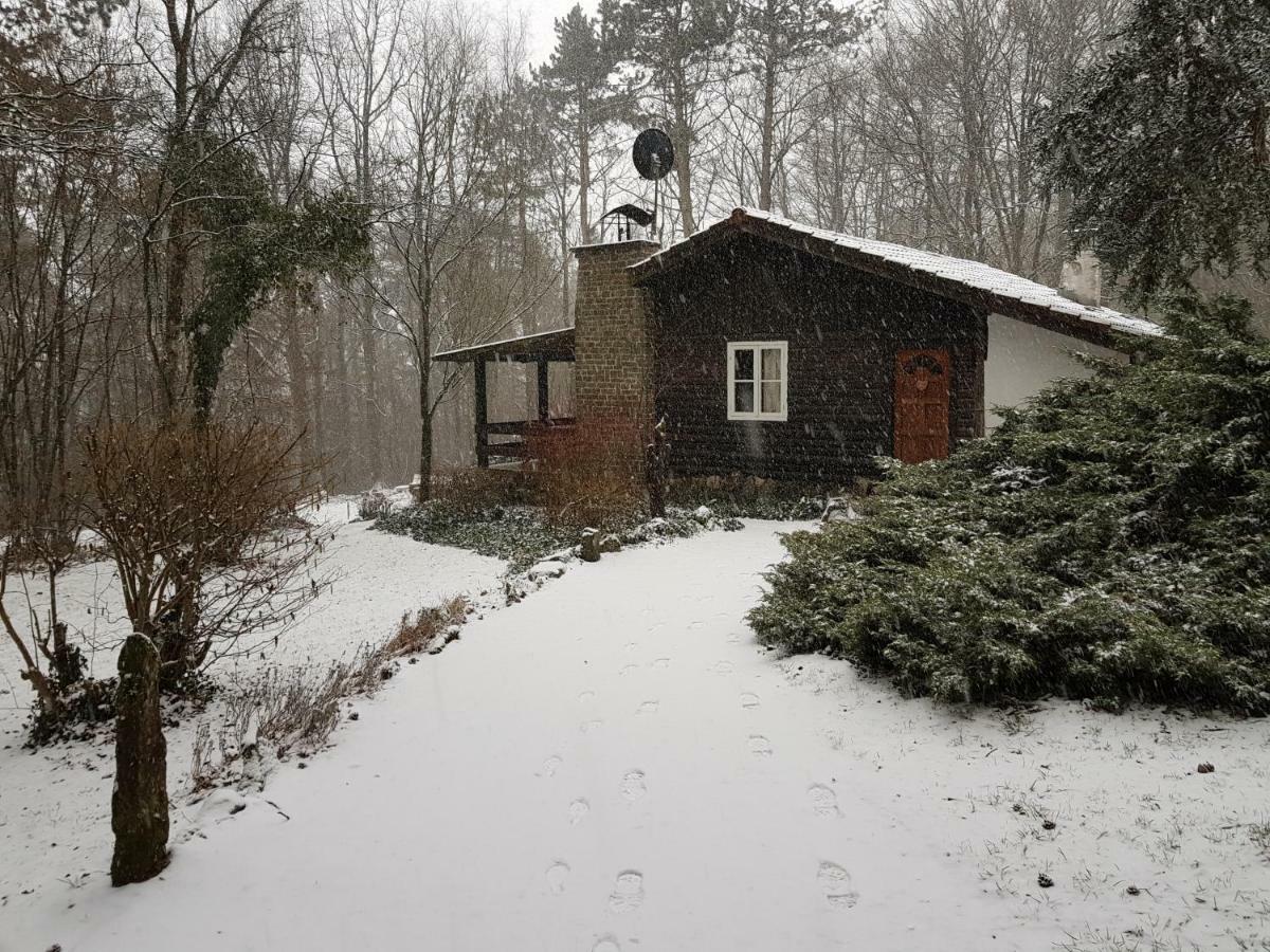 Chalet Des Pins D'Autriche Comblain-Fairon 외부 사진